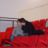 DSC00866.jpg